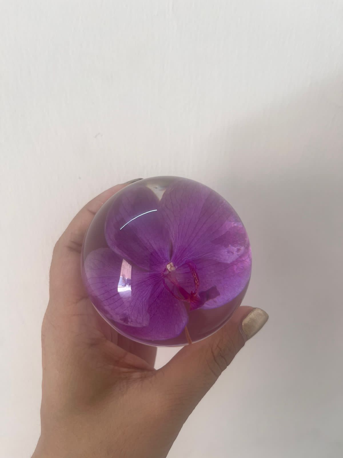 Dew drop | Real Preserved Orchid Paperweight - Ladywithcraft