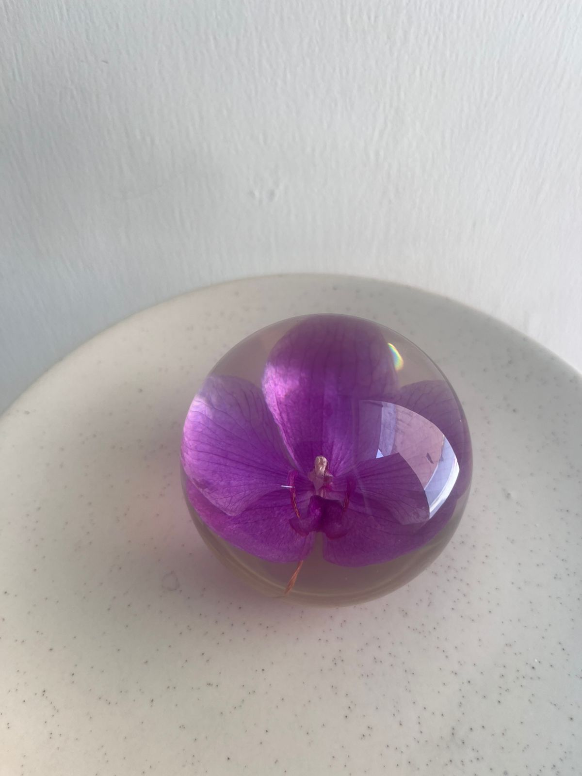 Dew drop | Real Preserved Orchid Paperweight - Ladywithcraft