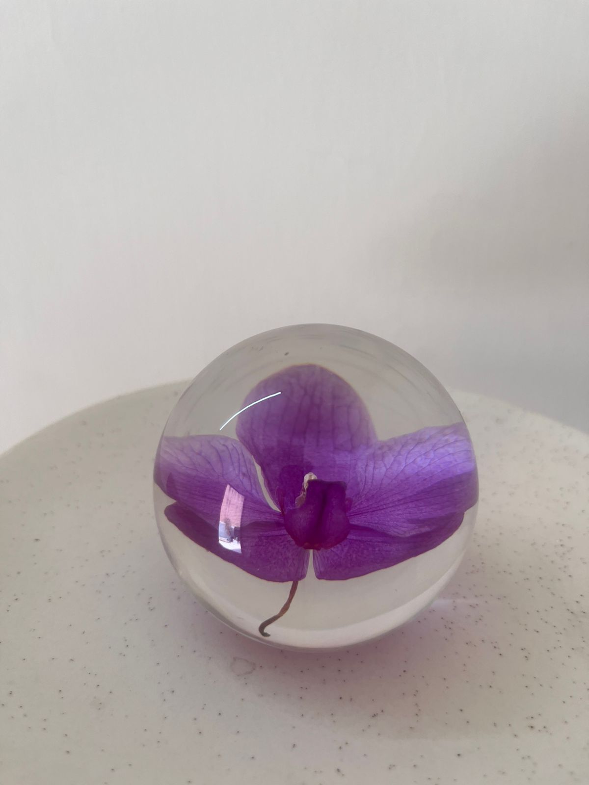 Dew drop | Real Preserved Orchid Paperweight - Ladywithcraft