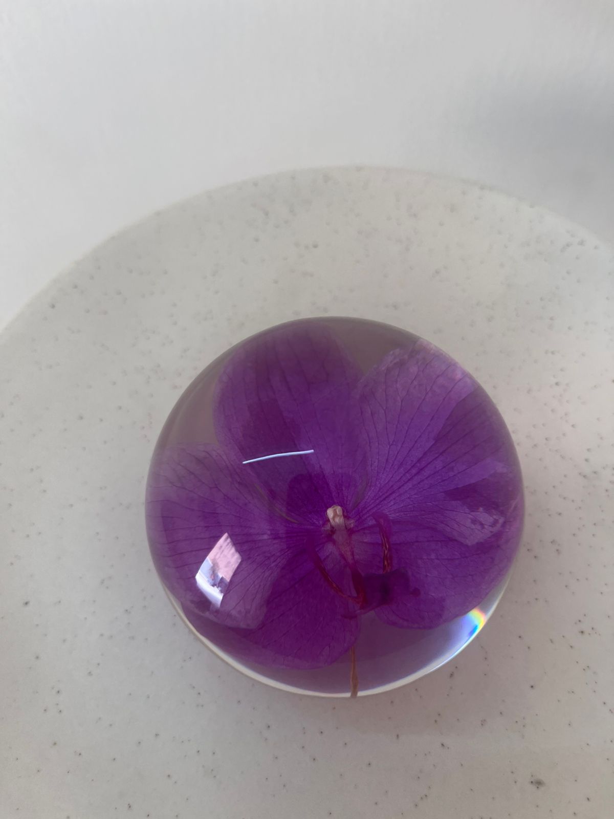 Dew drop | Real Preserved Orchid Paperweight - Ladywithcraft