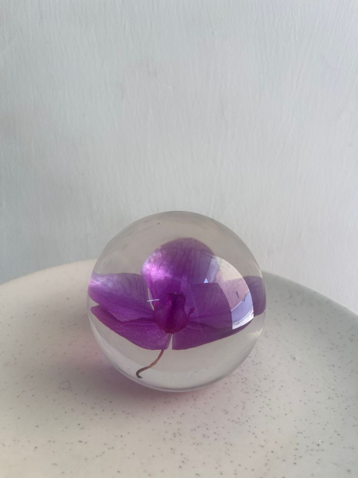 Dew drop | Real Preserved Orchid Paperweight - Ladywithcraft