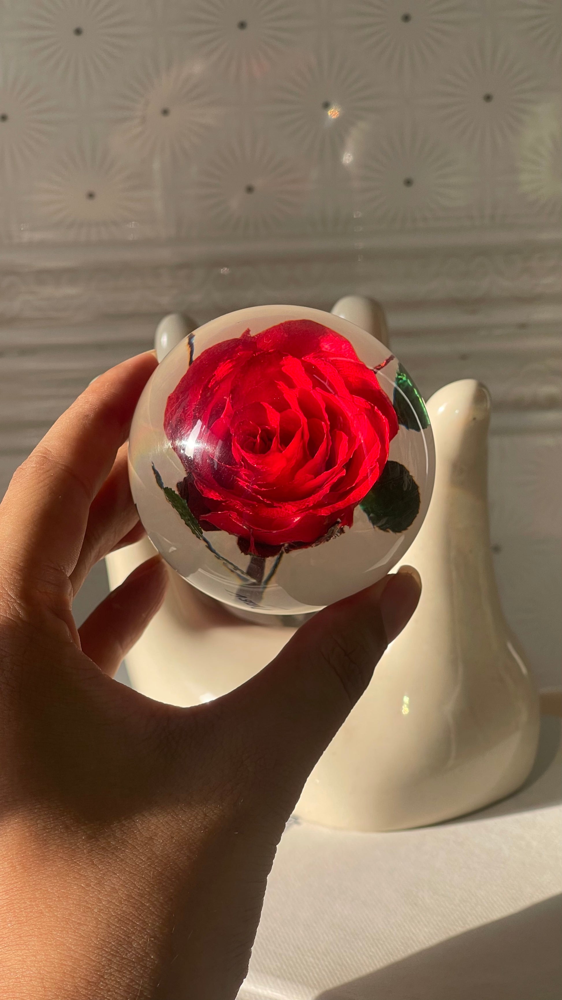 Rosette | Real Preserved Rose Paperweight - Ladywithcraft