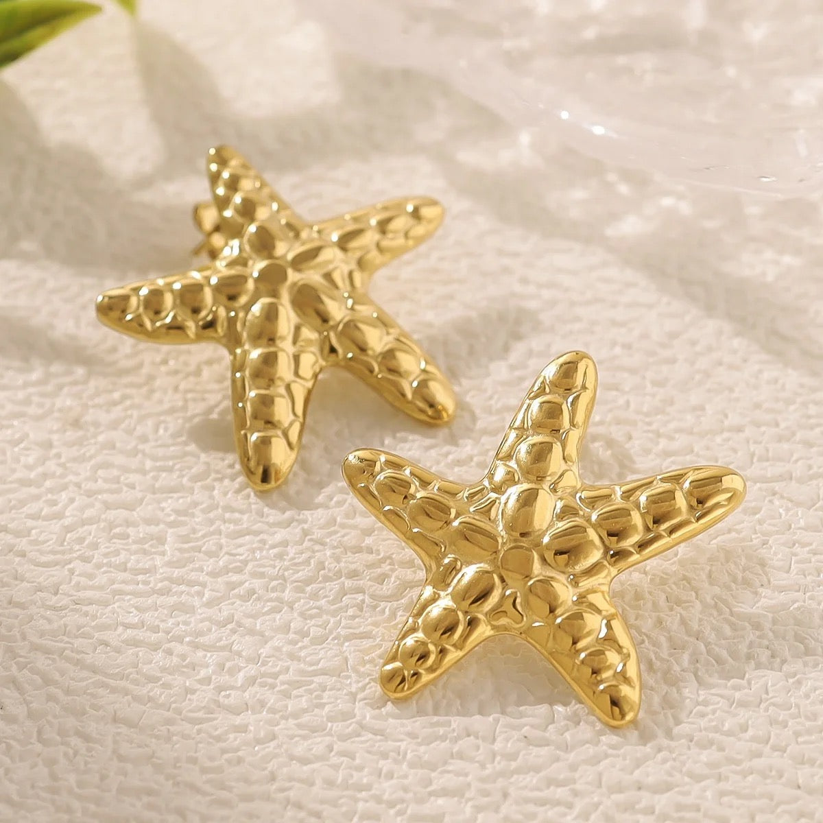 Starfish earrings